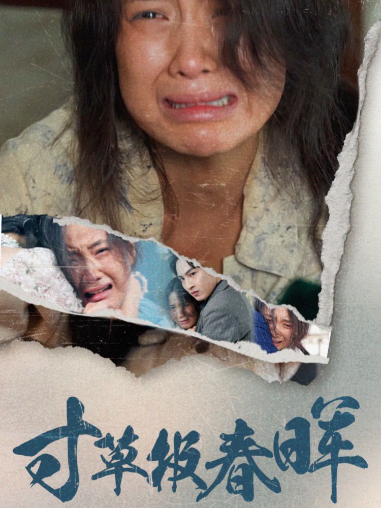 寸草报春晖第41-65集完结(大结局)