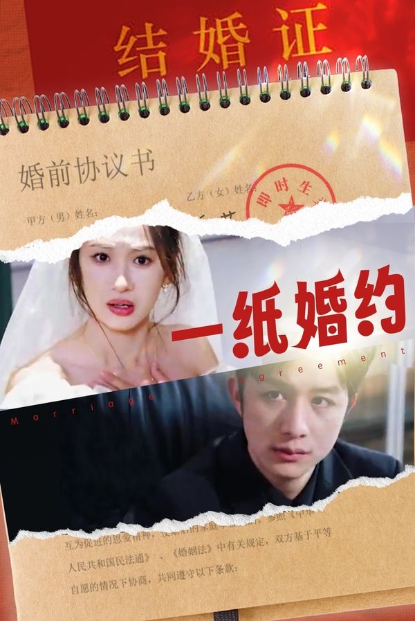 一纸婚约第41-60集