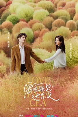 治愈系恋人第101集番外