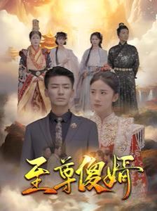 至尊傻婿第41-60集