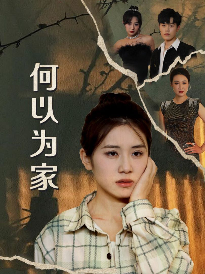 何以为家第21-40集