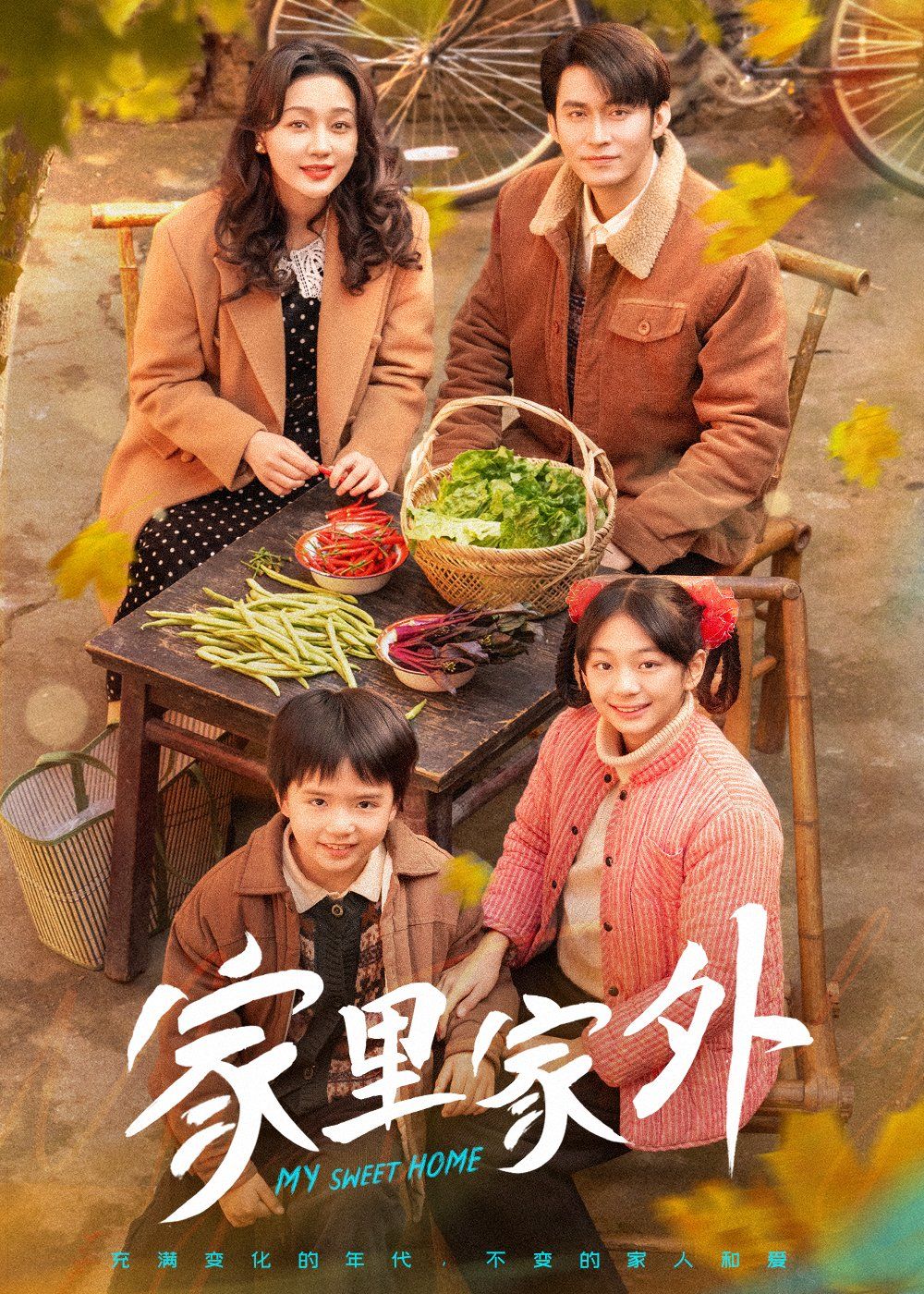 家里家外第1-20集