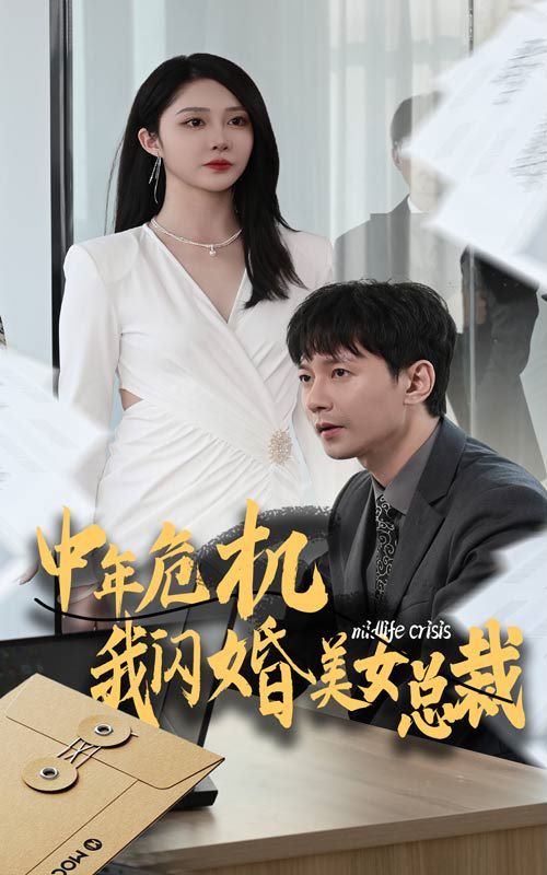 中年危机我闪婚美女总裁第1-20集