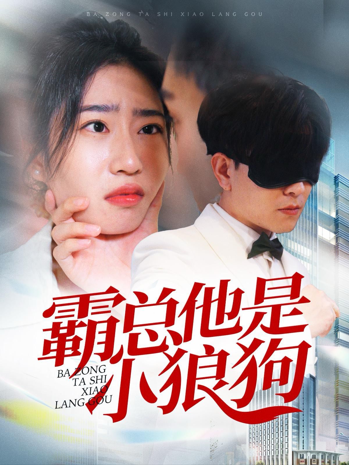 霸总他是小狼狗全集完结(大结局)