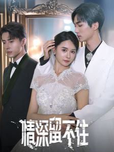 情深留不住第41-60集
