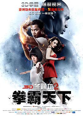 冬荫功2：拳霸天下HD国语版