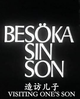 造访儿子HD中字