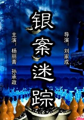 银案迷踪HD