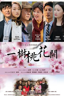 一树桃花开王志文版第01集